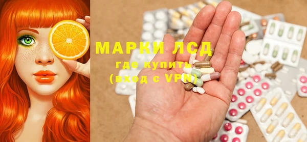 дживик Губаха