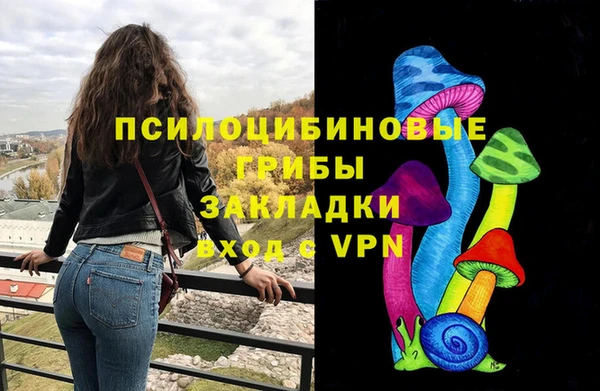 дживик Губаха