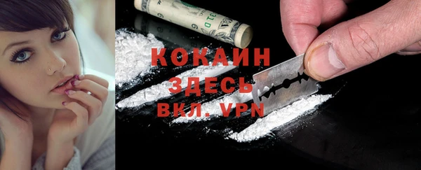 шишки Лиски
