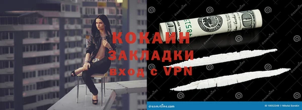 шишки Лиски