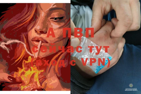 дживик Губаха
