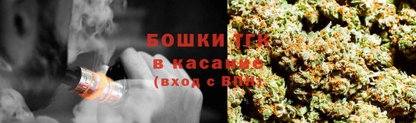 МДПВ Липки