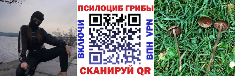 Псилоцибиновые грибы Psilocybe  Мамоново 